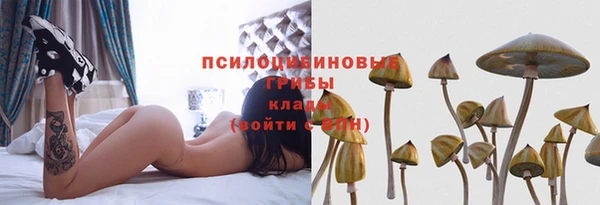 крисы Аркадак