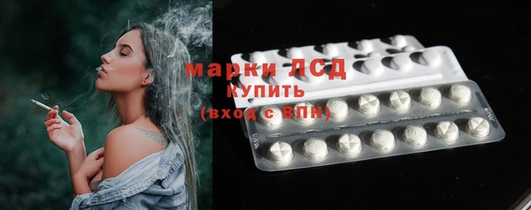 крисы Аркадак